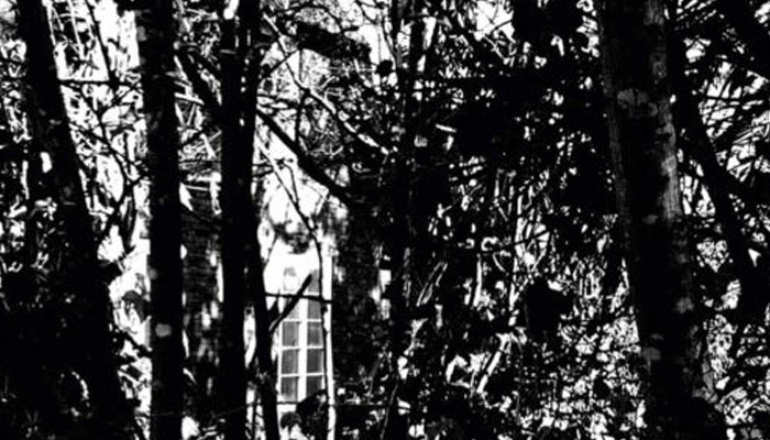 Burkhard Philipp von Harder Artikel Die Stilisten | Sylt | Welt