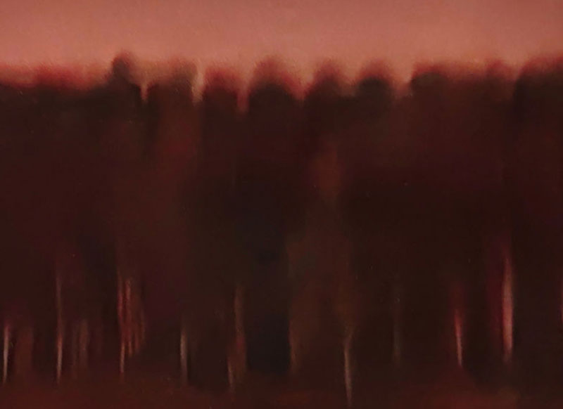 Burkhard Philipp von Harder is Winner & nominee of the International Color Award / LA 2025